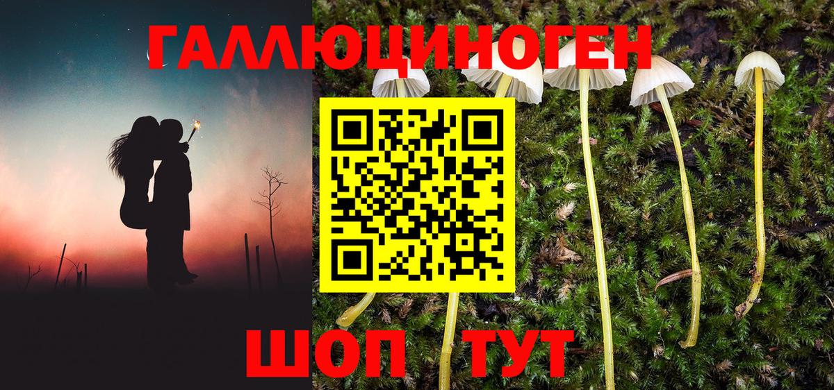 Псилоцибиновые грибы GOLDEN TEACHER Кинель