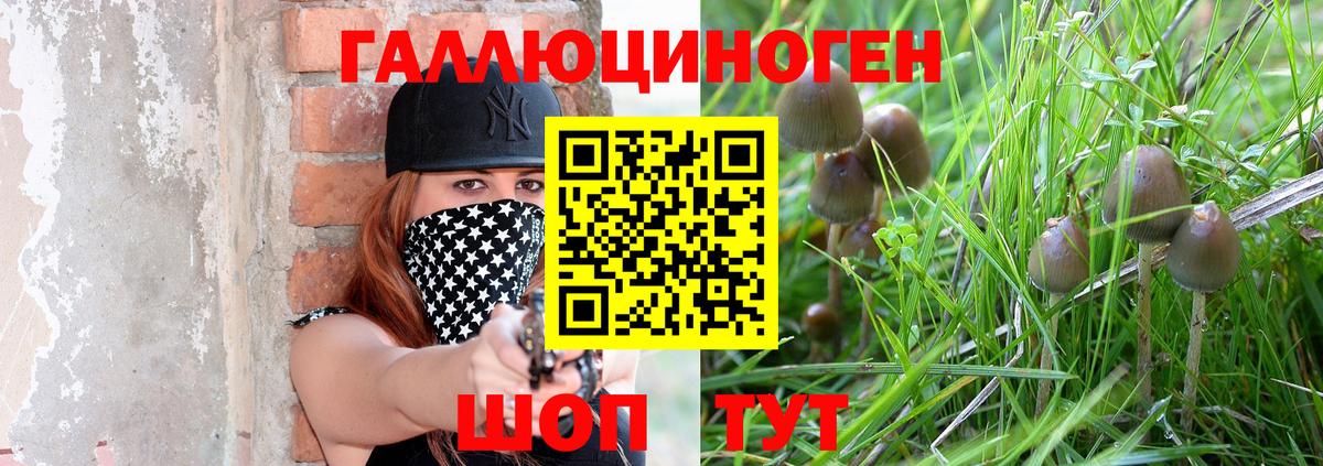 Галлюциногенные грибы Psilocybine cubensis  Галлюциногенные грибы мицелий  Кинель  Вход с VPN 